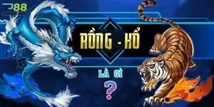 Rồng Hổ TP88